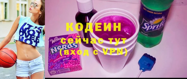 сатива Иннополис