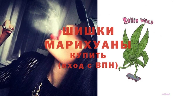 сатива Иннополис