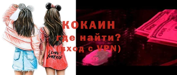 сатива Иннополис