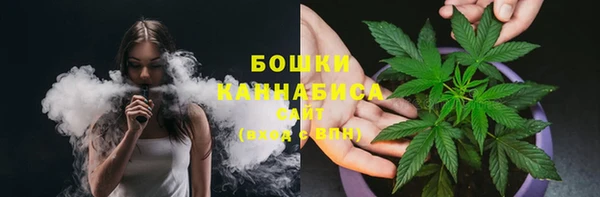 сатива Иннополис