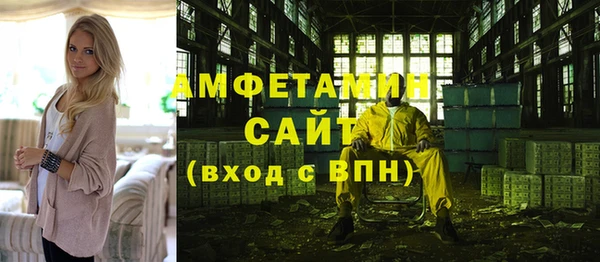 сатива Иннополис