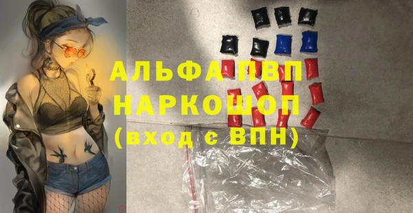 сатива Иннополис