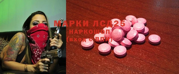 сатива Иннополис