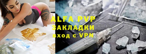 сатива Иннополис